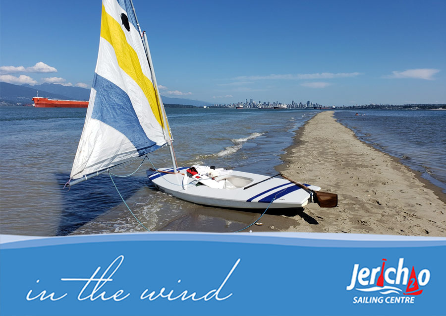 In The Wind: August 12, 2020